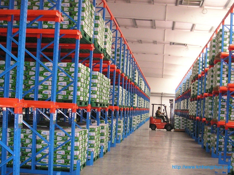 HZ-798型通廊式貨架 通廊式倉(cāng)庫(kù)貨架應(yīng)用案例